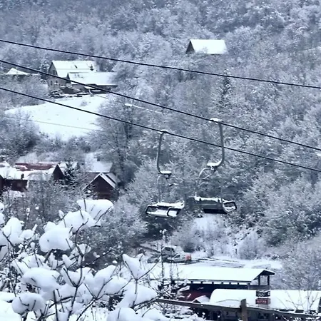 Svoi