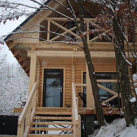 Svoi Holiday home Vyshka