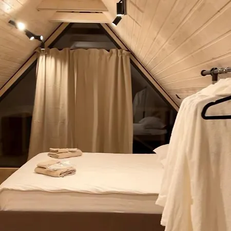 度假居 Svoi 维什卡