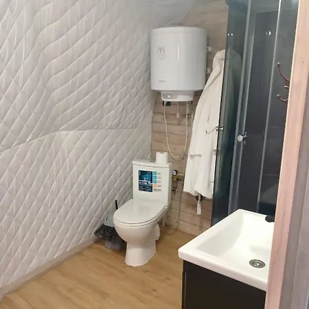 Svoi 度假居 维什卡