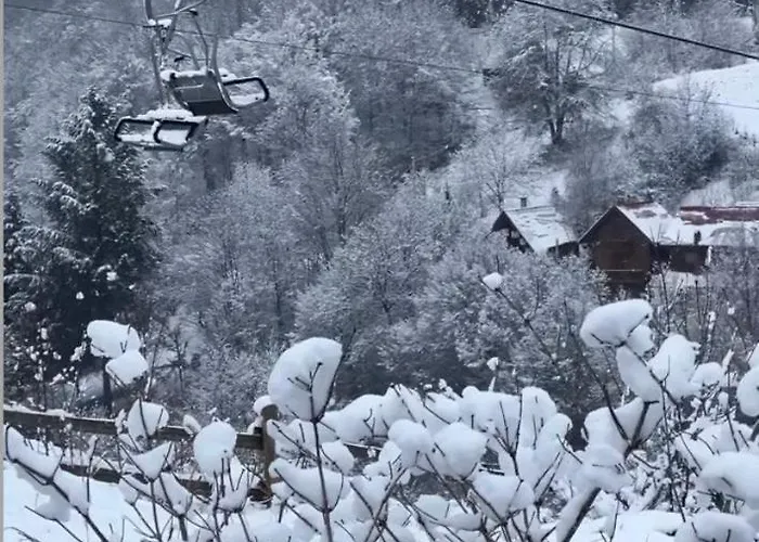 Svoi * Vyshka