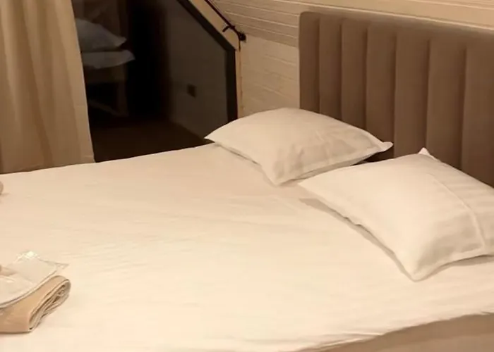 Svoi Holiday home *